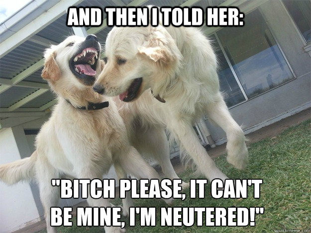 and then i told her bitch please it cant be mine im n - Golden Joke Goldens