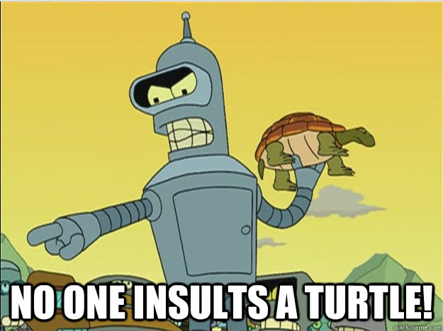 no one insults a turtle -