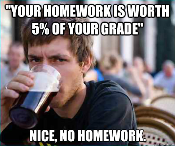 your homework is worth 5 of your grade nice no homework - Lazy College Senior