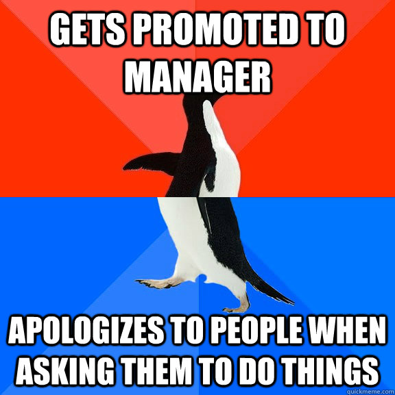 gets promoted to manager apologizes to people when asking th - Socially Awesome Awkward Penguin