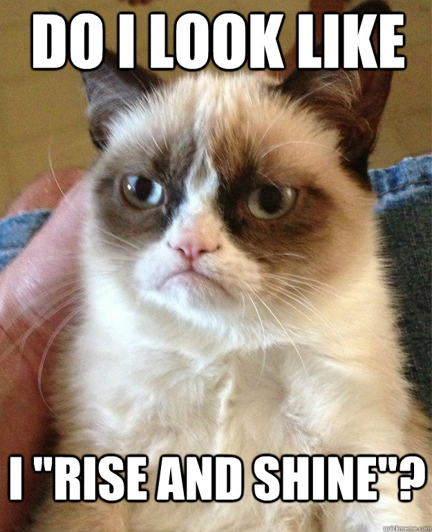 do i look like i rise and shine - Grumpy Cat