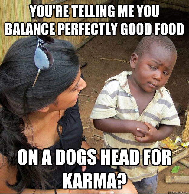 youre telling me you balance perfectly good food on a dogs - Skeptical Third World Kid