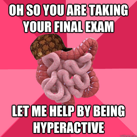 oh so you are taking your final exam let me help by being hy - Scumbag Intestines