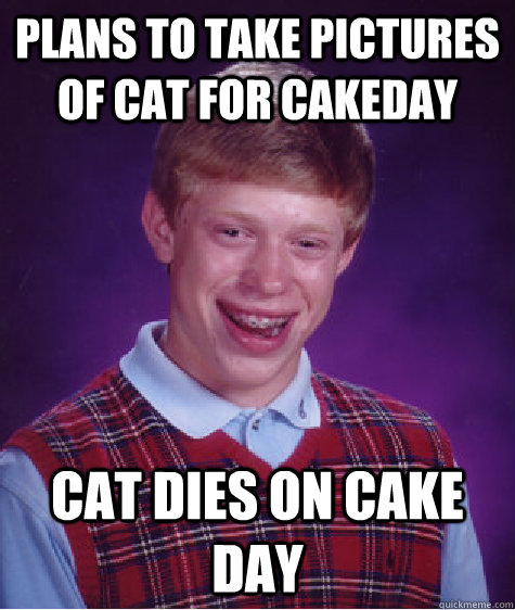 plans to take pictures of cat for cakeday cat dies on cake d - Bad Luck Brian