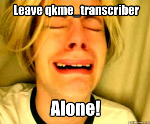 leave qkmetranscriber alone -