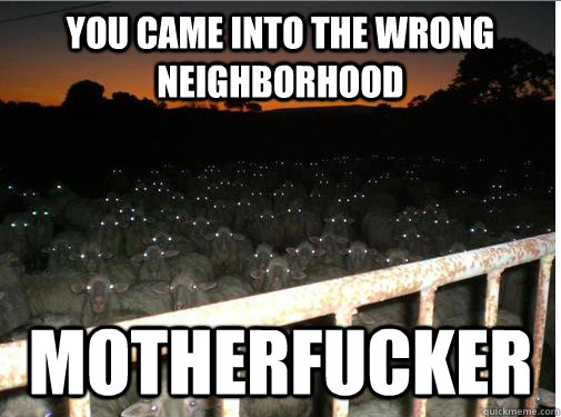 you came into the wrong neighborhood motherfucker - Motherfucking sheep