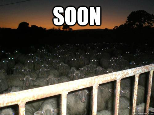 soon - sheep of death