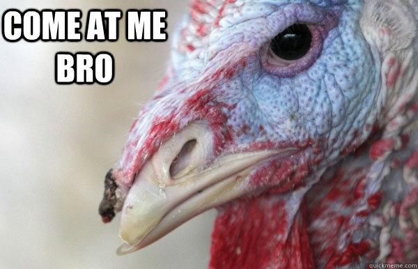 come at me bro - Angry Turkey