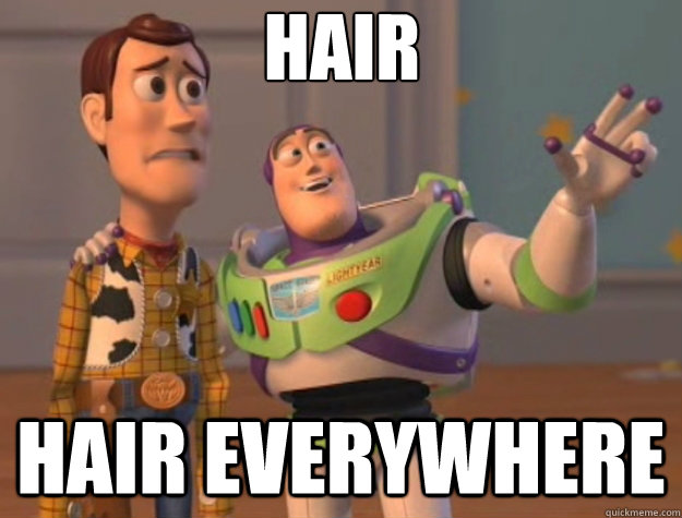 hair hair everywhere - Toy Story