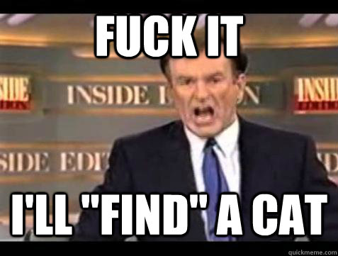 fuck it ill find a cat - Bill OReilly Fuck It