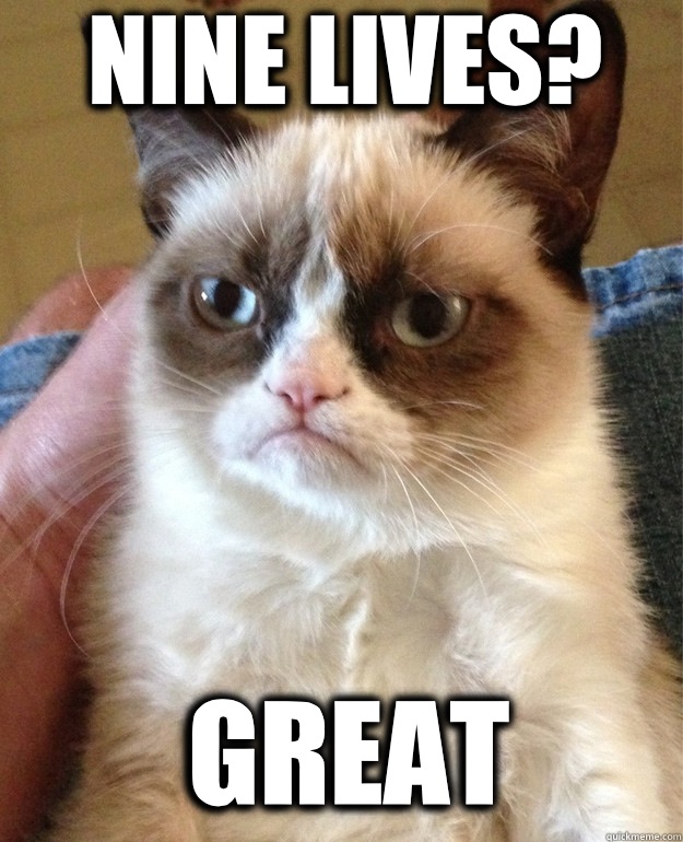 Nine lives great - Grumpy Cat