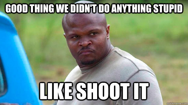 good thing we didnt do anything stupid like shoot it -