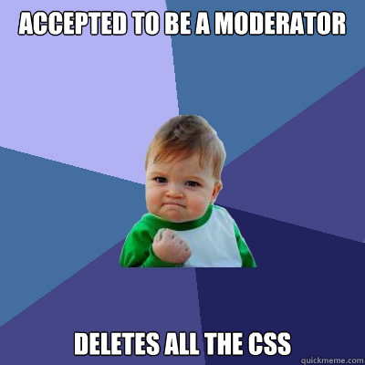 accepted to be a moderator deletes all the css - Success Kid