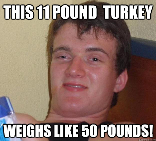 this 11 pound turkey weighs like 50 pounds - 10 Guy