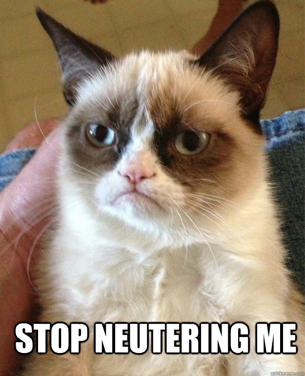 stop neutering me - Grumpy Cat