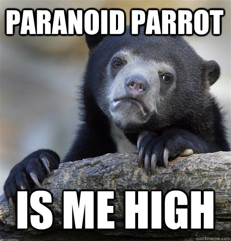 paranoid parrot is me high - Confession Bear
