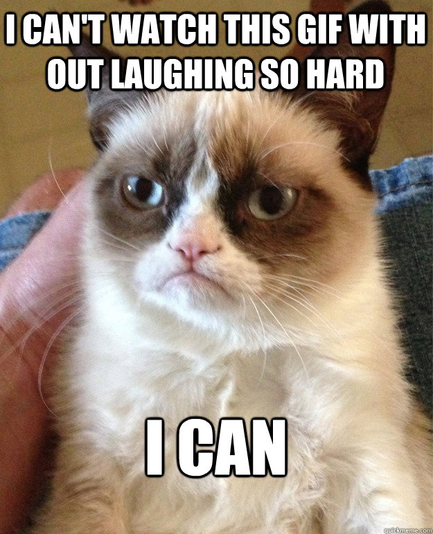 i cant watch this gif with out laughing so hard i can - Grumpy Cat