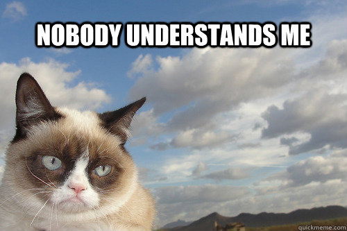 nobody understands me - sad grumpy cat