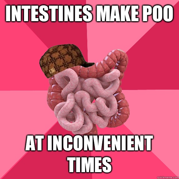 Intestines make poo At inconvenient times - Scumbag Intestines