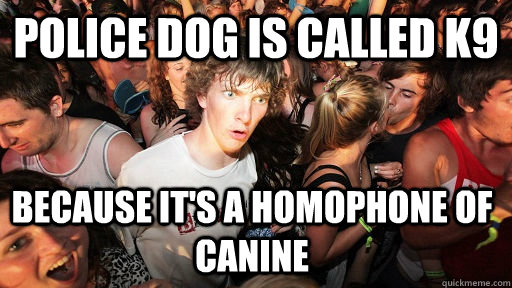 police dog is called k9 because its a homophone of canine - Sudden Clarity Clarence