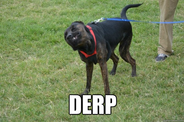 derp - Derp Dog