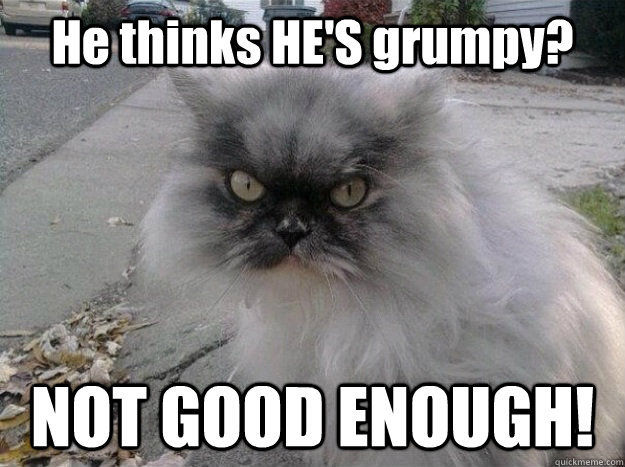he thinks hes grumpy not good enough - New Grumpy Cat