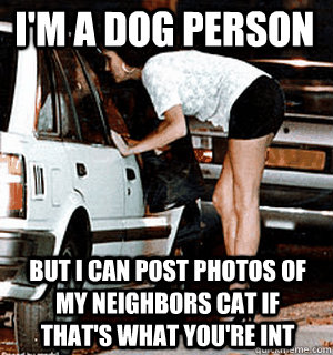 im a dog person but i can post photos of my neighbors cat i - Karma Whore