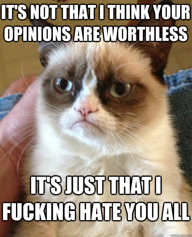 its not that i think your opinions are worthless its just - Grumpy Cat