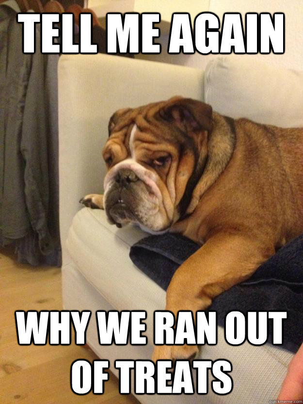 tell me again why we ran out of treats - Hopeless Dog