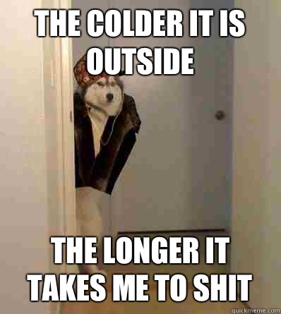 The colder it is outside The longer it takes me to shit - Scumbag dog