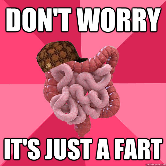 dont worry its just a fart - Scumbag Intestines