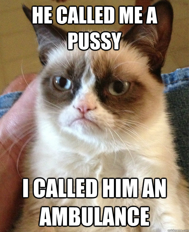he called me a pussy i called him an ambulance - Grumpy Cat