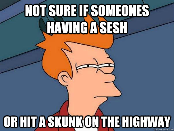 not sure if someones having a sesh or hit a skunk on the hig - Futurama Fry