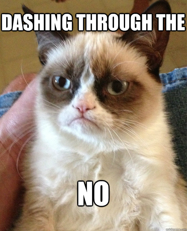 dashing through the no - Grumpy Cat