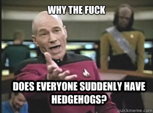 why the fuck does everyone suddenly have hedgehogs - Annoyed Picard