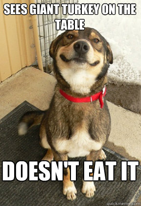sees giant turkey on the table doesnt eat it - Good Dog Greg
