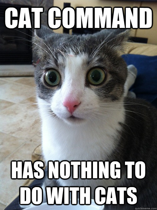 cat command has nothing to do with cats - Sudden Clarity Cat