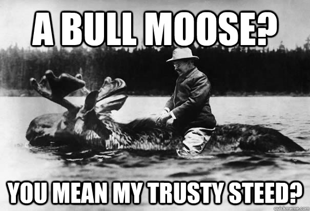 a bull moose you mean my trusty steed -