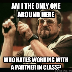 am i the only one around here who hates working with a partn - Am I The Only One Round Here