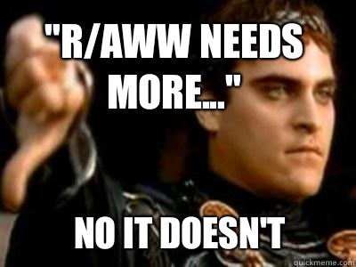 raww needs more It won - Downvoting Roman