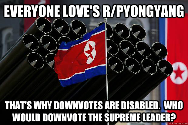 everyone loves rpyongyang thats why downvotes are disable - Scumbag North Korea
