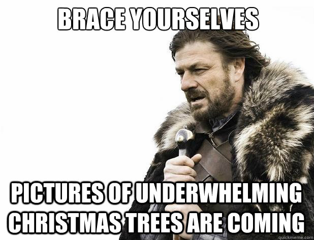 brace yourselves pictures of underwhelming christmas trees a - Brace Yourself