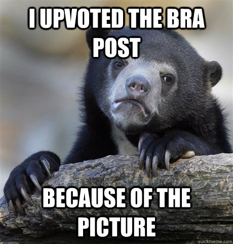i upvoted the bra post because of the picture - Confession Bear