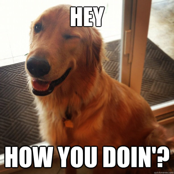 hey how you doin -