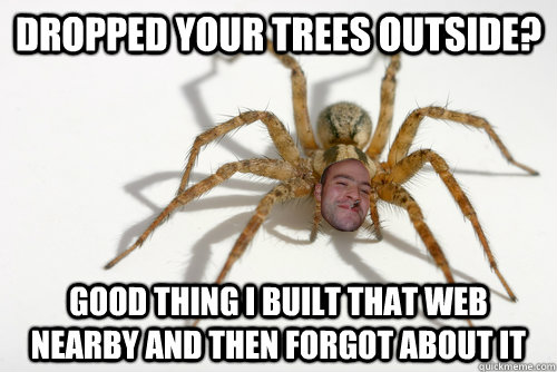 dropped your trees outside good thing i built that web near - Good guy spider
