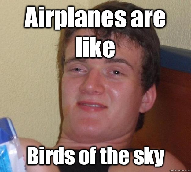 Airplanes are like Birds of the sky - 10 Guy