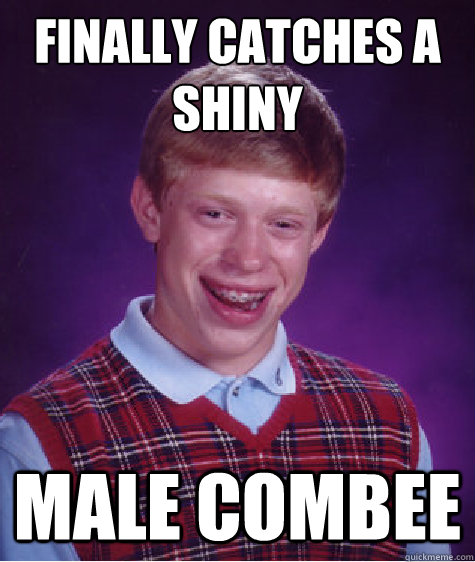 finally catches a shiny male combee - Bad Luck Brian