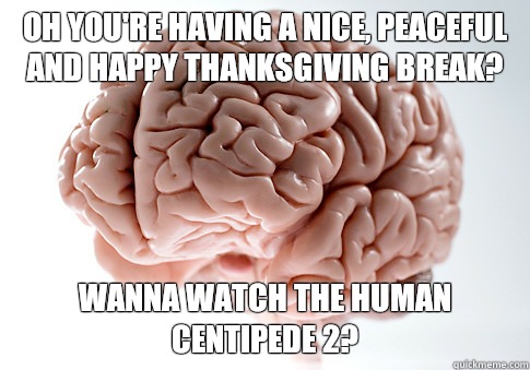 Oh youre having a nice peaceful and happy Thanksgiving break - Scumbag Brain