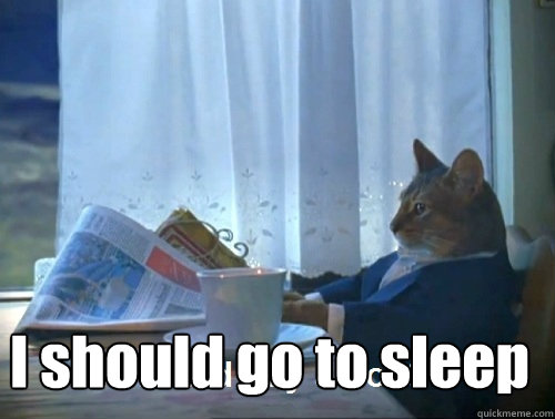 i should go to sleep - Rich cat is rich