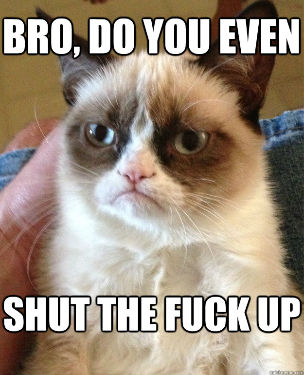 bro do you even shut the fuck up - Grumpy Cat